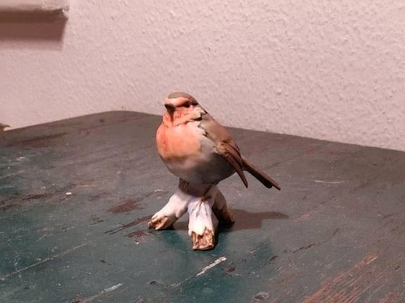 AK Kaiser Rotkehlchen Porzellan Vogel Vintage Sammlerstück in Hamburg