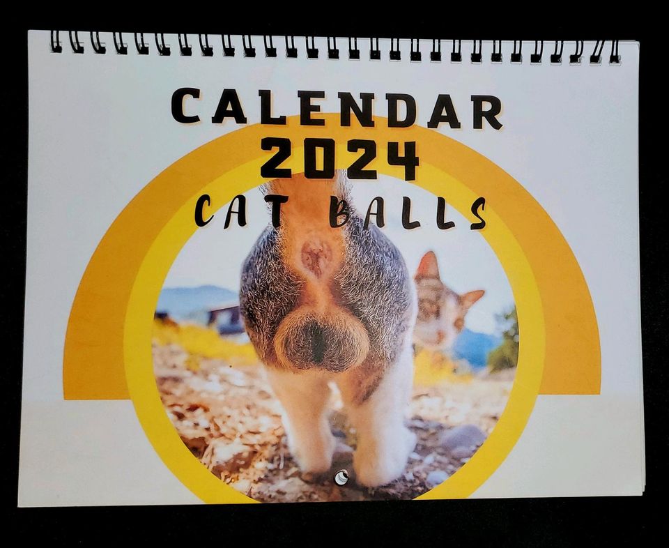 Cat Balls Kalender - die schönste Katereier 2024 in Oberursel (Taunus)