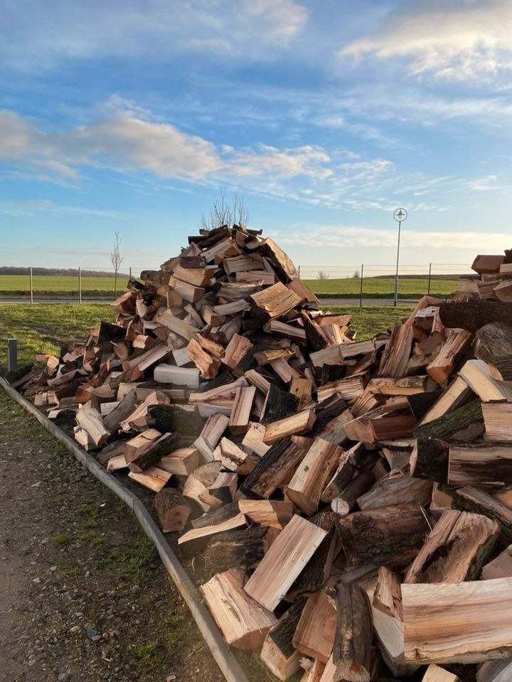 Kaminholz Brennholz Buche Eiche gemischt in Neddemin