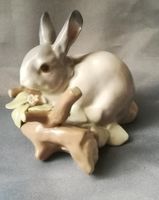 Lladro Hase❤️ Rheinland-Pfalz - Neustadt an der Weinstraße Vorschau