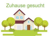 Junges berufstätiges Paar sucht Zuhause zur Miete Nordrhein-Westfalen - Coesfeld Vorschau