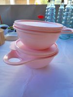 Tupperware NEU Maximilan Schüsseln 600ml rosa Bayern - Gemünden a. Main Vorschau