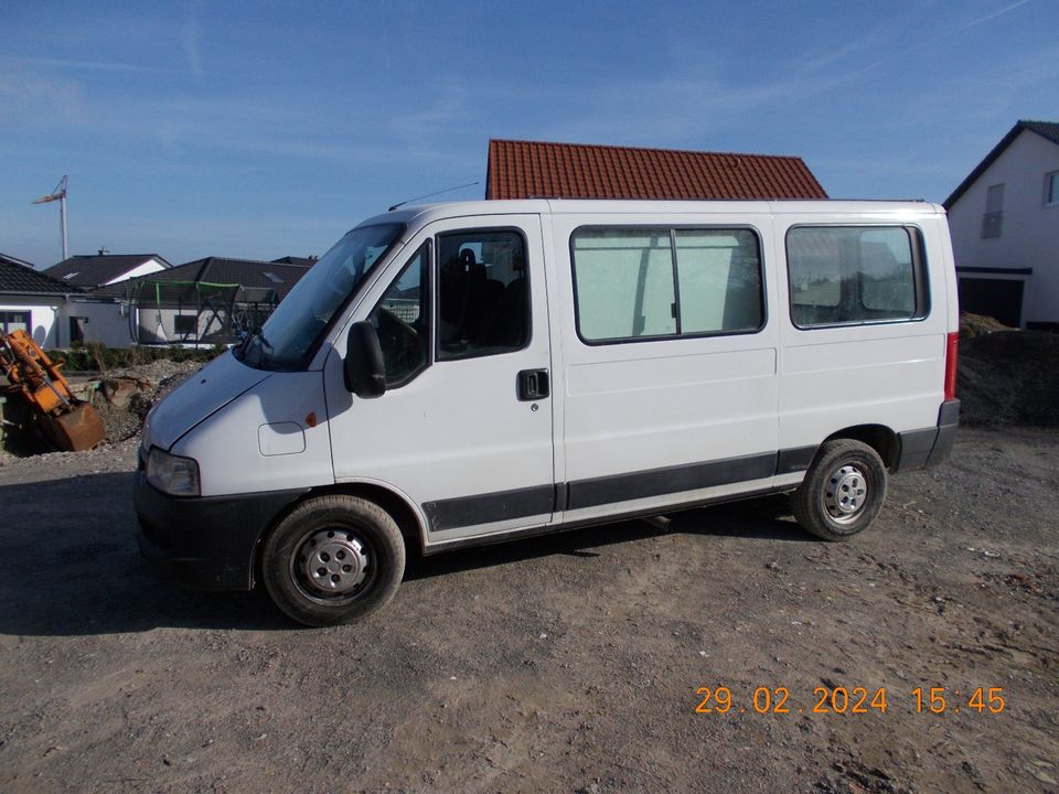 Fiat  Ducato / 6 Sitzer mit Laderaum in Detmold