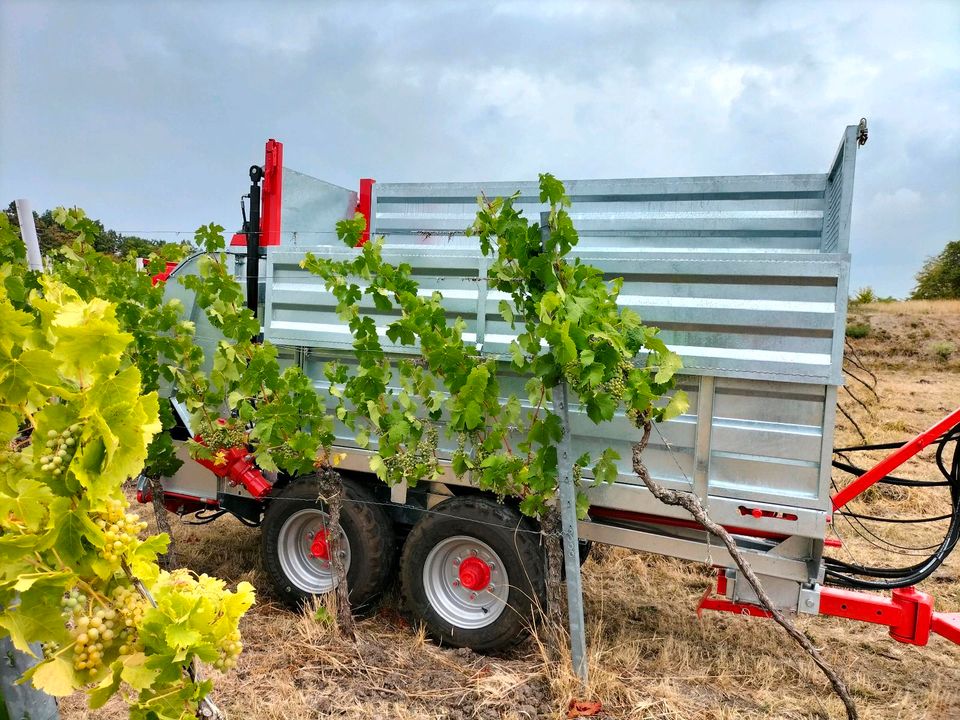 Weinbergstreuer Kompoststreuer für Weinbau Obstbau in Markt Nordheim