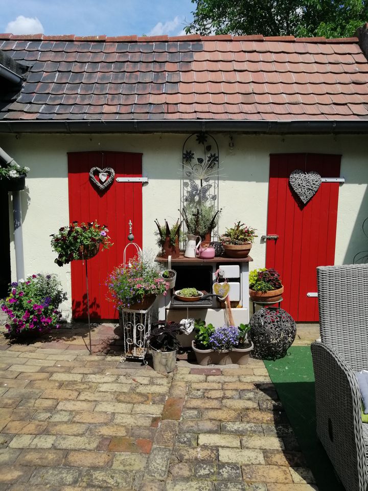 Einfamilienhaus sucht nette Mieter mit Interesse an Garten in Coswig (Anhalt)