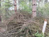 Holz zum verschenken Niedersachsen - Wedemark Vorschau
