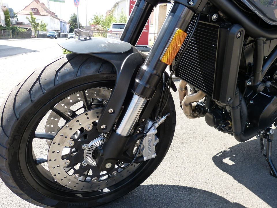 Benelli Leoncino 500 in Schöneck