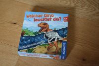 neuwertiges Dino Memory, welcher Dino leuchtet da? Bayern - Stammham b. Ingolstadt Vorschau