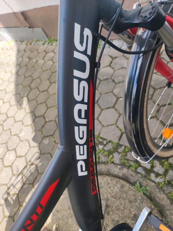 Fahrrad von Pegasus in Fürth