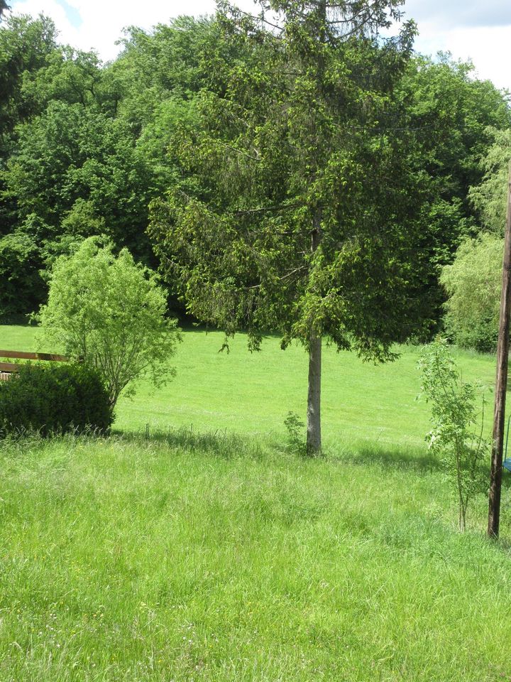 Ferienhaus Frankreich - Nähe Saarbrücken in Saarbrücken