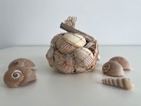 Muscheln im Fischernetz und Holzschild originalverpackt Nordrhein-Westfalen - Lippstadt Vorschau