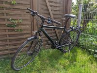 Steppenwolf Tao 6.0 28 Zoll Trekking Herrefahrrad LX Komponenten Nordrhein-Westfalen - Frechen Vorschau