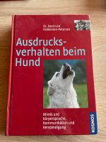 Ausdrucksverhalten Hund Bayern - Großostheim Vorschau