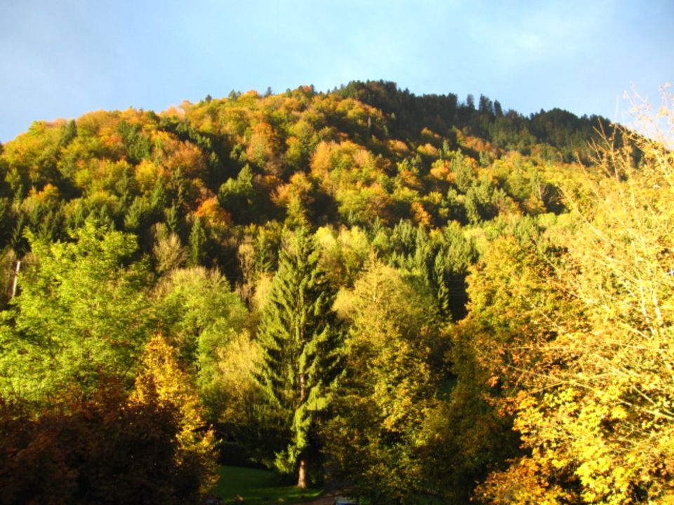 Top! 3 Zimmer Ferienwohnung am Fuß der Berge im Oberallgäu 6 Pers in Immenstadt