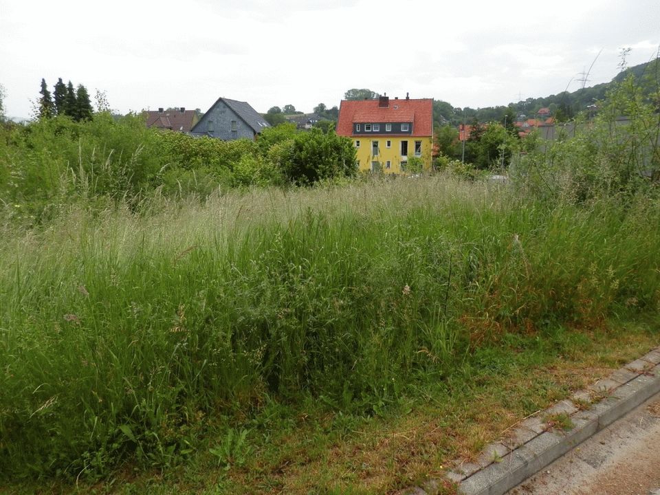 Schönes, voll erschlossenes 763m² Grundstück in Salzhemmendorf in Salzhemmendorf