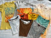 9 T-Shirts S 36 je 4€ Zara G-Star Gsus Mango Pepe Jeans Mecklenburg-Vorpommern - Stralsund Vorschau