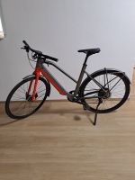 E-Bike Fahrrad Elektro-Cityrad Mountainbike Kalkhoff Sachsen - Plauen Vorschau