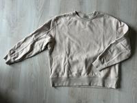 H&M Basics Sweatshirt Pullover beige Größe XS Schleswig-Holstein - Tarp Vorschau