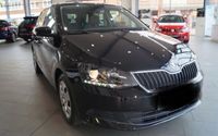 Skoda Fabia Combi Ambition 1,4 Green Tec mit AHK Kreis Pinneberg - Langeln Vorschau