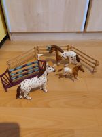 Schleich 42433 Horse Club Lisas Turnier Training Nordrhein-Westfalen - Meschede Vorschau