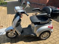 E-Trike Elektroroller Niedersachsen - Drochtersen Vorschau