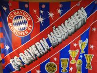 FC Bayern München Fahne Sammlerstück Hessen - Ringgau Vorschau