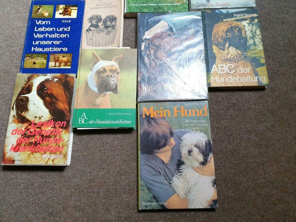 Bücher für Hundefreunde in Niederzimmern