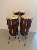 Percussion Set Congas u. Bongos Rheinland-Pfalz - Landau in der Pfalz Vorschau