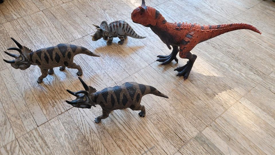 Schleich Dinosaurier Carnotaurus, Triceratops und 2 x ??? in Berlin