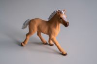 Schleich Pferd Haflinger Fohlen Sachsen-Anhalt - Halberstadt Vorschau