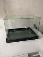 Dennerle Nano Scaper‘s Tank 35 Aquarium Bayern - Neu Ulm Vorschau