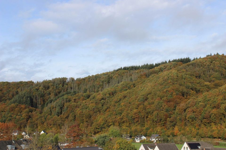 Barrierefreie, moderne Wohnung (Erstbezug) in Roßbach (Wied)