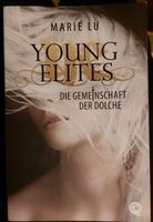 Young Elites -> Die Gemeinschaft der Dolche (Buch) Hessen - Borken Vorschau