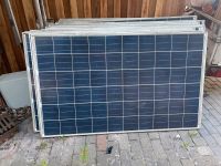 Trina Solar 250W Module TSM250-PC05 Niedersachsen - Dörverden Vorschau