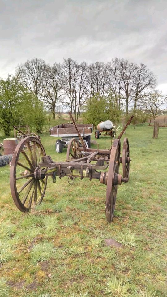 Leiterwagen in Dergenthin