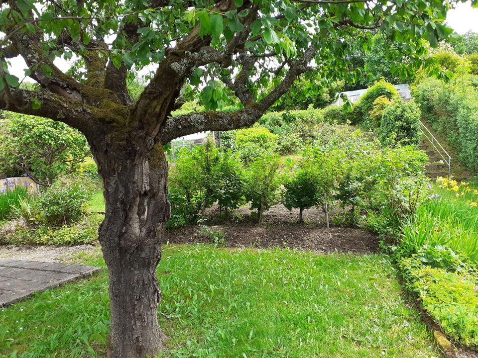 Garten in Suhl - KGV - mit massivem Doppelbungalow abzugeben in Suhl