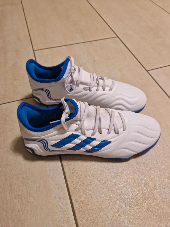 Adidas Fußballschuhe (Gr. 40) Copa Sence.3 TF, 1x getragen in Gladbeck