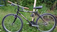 Wheeler Mountain Bike Hessen - Maintal Vorschau