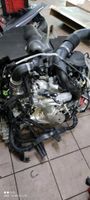 Motor Renault Master 2.3 EU6 M9T708 BITURBO 170PS bj19 Komplett Rheinland-Pfalz - Waldalgesheim Vorschau