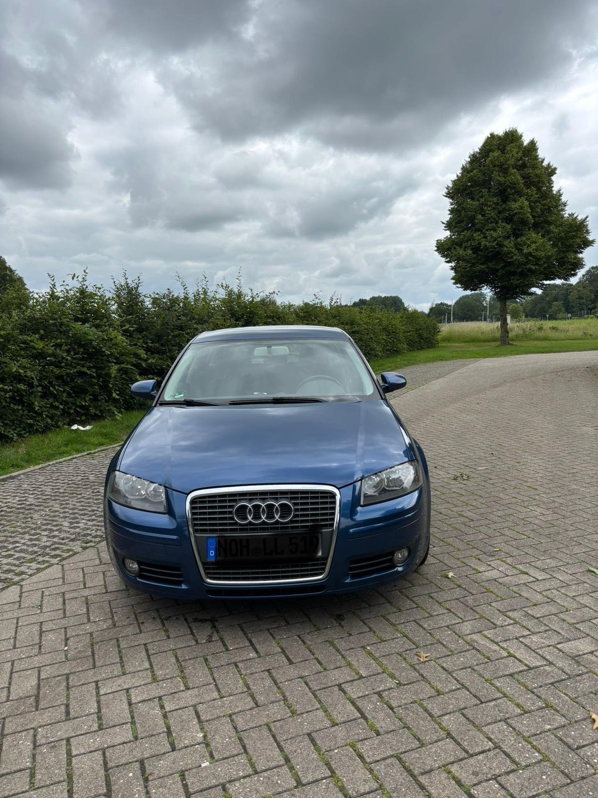 Abbildung des Autos Audi A3 8P 2.0 TDi