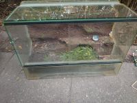 Terrarium mit Zubehör Schleswig-Holstein - Reinbek Vorschau