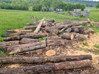 Brennholz Kaminholz Feuerholz zum selber spalten Baden-Württemberg - Mössingen Vorschau