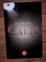 Buch Thriller Krimi D.L. Wilson - Calix Scharbeutz - Pönitz Vorschau