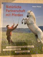 Freundschaftliche Partnerschaft mit Pferden Niedersachsen - Wedemark Vorschau