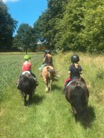 Geführtes Ponyreiten für Kinder ab 2J & Anfänger, immer Samstags. Rheinland-Pfalz - Altenkirchen Vorschau