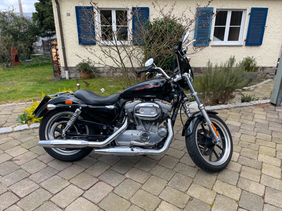 Harley Davidson Sportster 883 XL SuperLow in Arnsberg