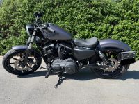 Harley Davidson Iron 883 Sachsen - Dippoldiswalde Vorschau