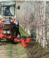 Unterstockbaumpflege Ladurner Bio Model 9H Unterstock Krümler Rheinland-Pfalz - Schweigen-Rechtenbach Vorschau