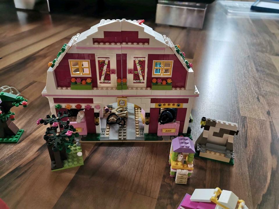 Lego Friends Konvolut in Trebgast