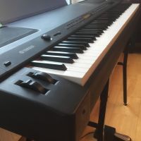 Yamaha P 250 Digital Piano inkl.Stativ Case Stagg KTC-150 Nordrhein-Westfalen - Detmold Vorschau